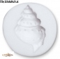 Preview: Snail Shell