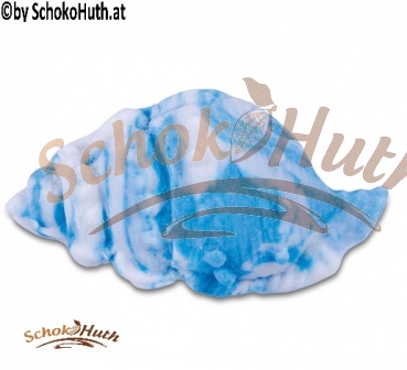 Snail Shell