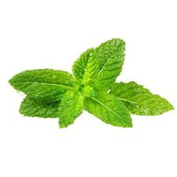 Aromapaste "Pfefferminze" 50g