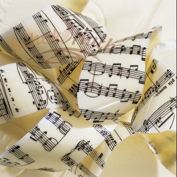 Motivfolie "Musiknoten"