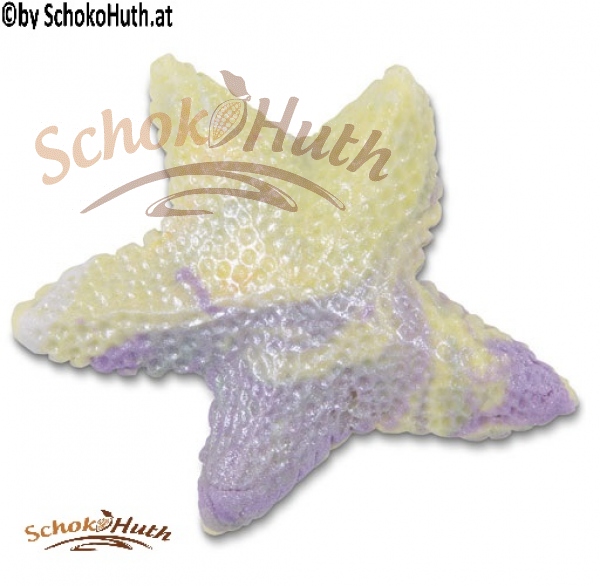 Seestern  - Profiqualität