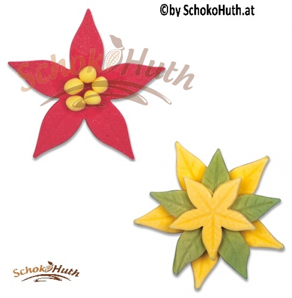 Professional cutter with ejector Starfruit – Set, 3 parts